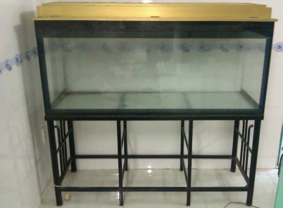 Bể cá cũ 3