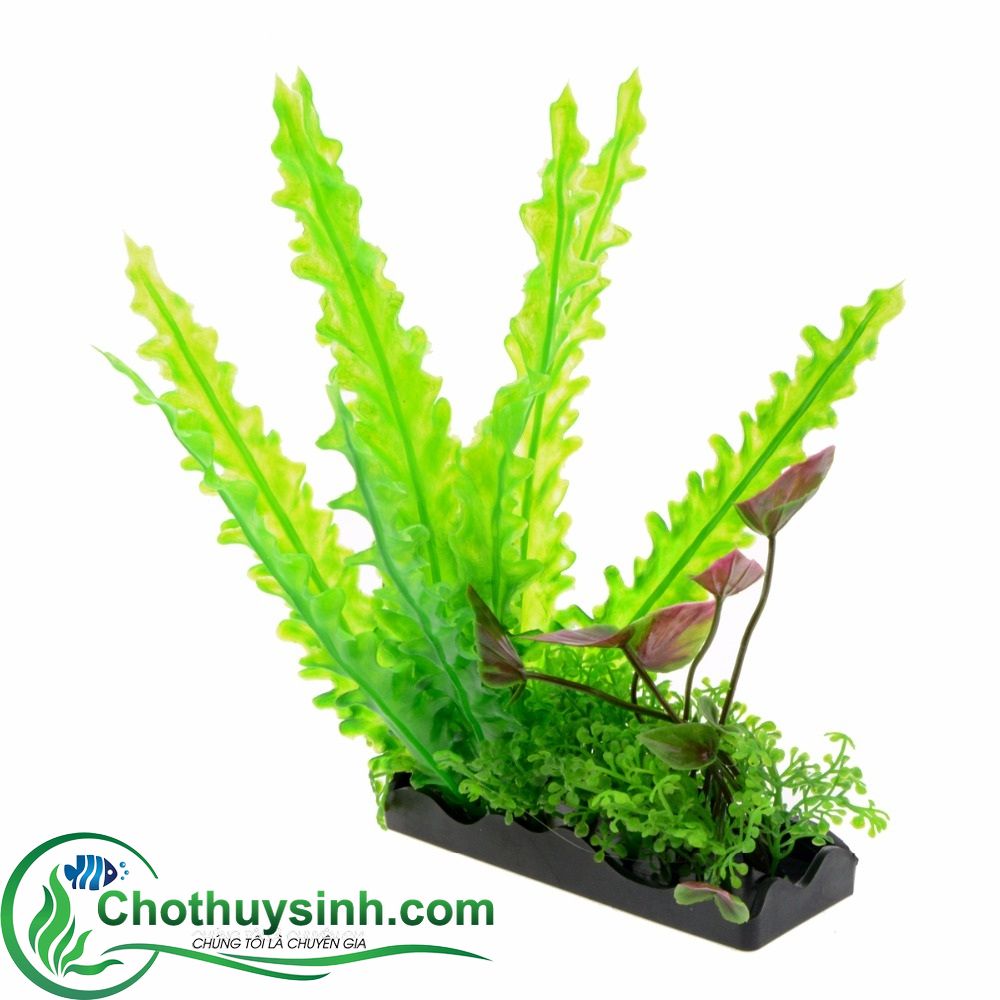 cây cảnh giả 2