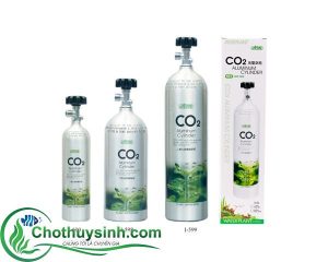 bình co2