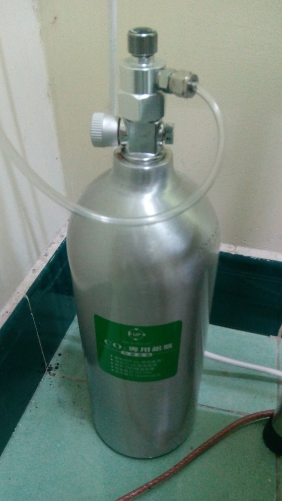 bình co2 thủy sinh