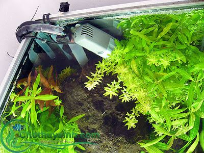 nối ống chạy thử