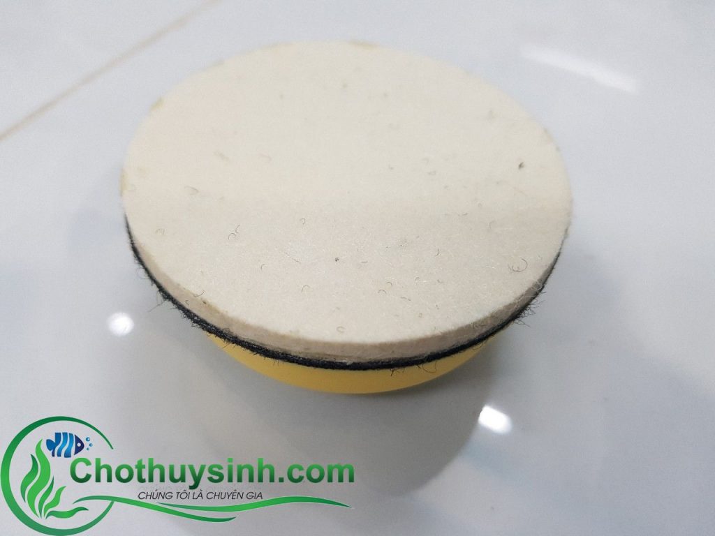 phớt đánh bóng kính