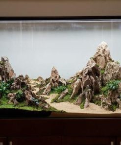 Ứng dụng của đá tai mèo