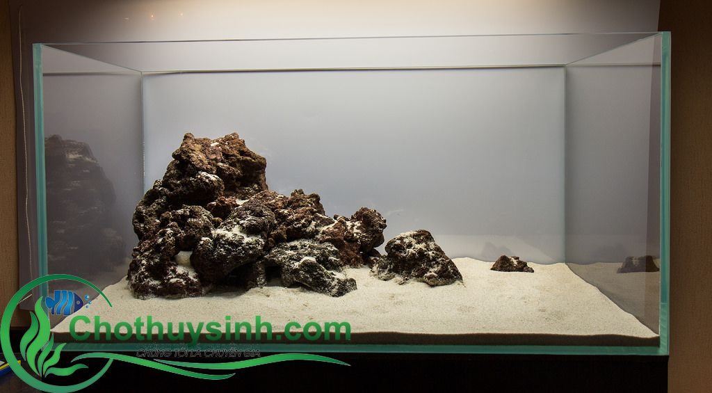 bố cục đá thủy sinh