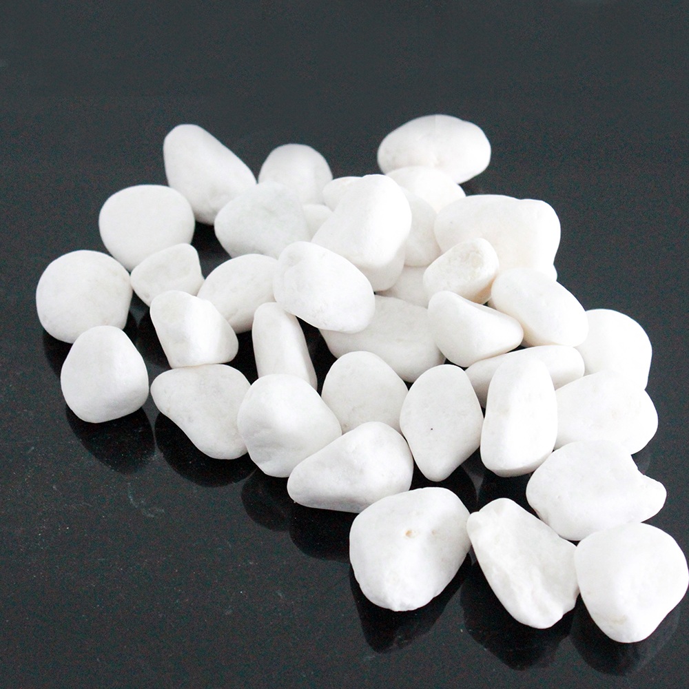 sỏi bể cá cảnh 2