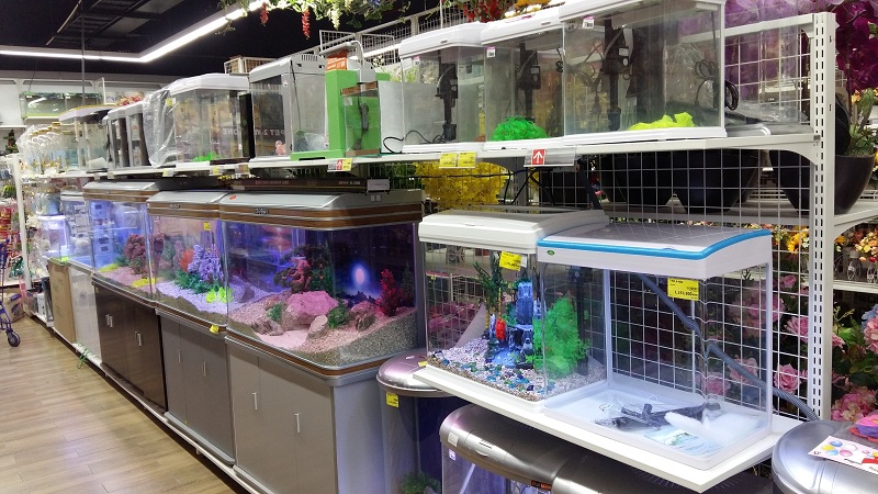 Bể cá cảnh nhập khẩu 1