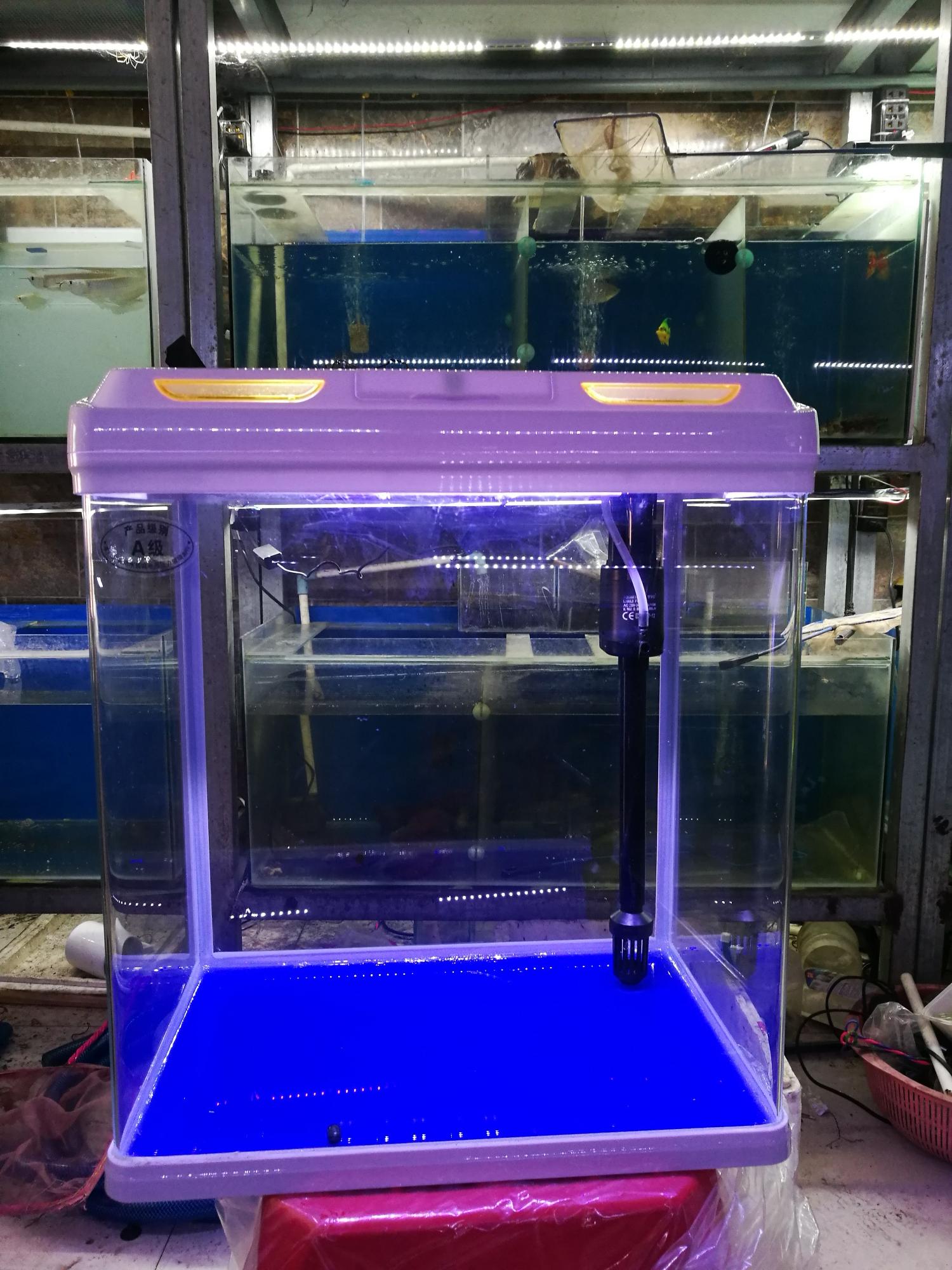 bể cá cảnh nhập khẩu 2