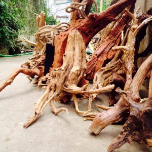 gỗ lũa thủy sinh