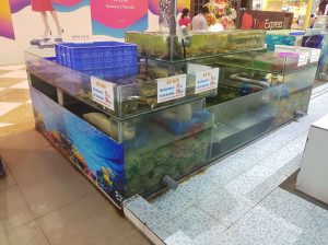 thiết kế bể cá hải sản