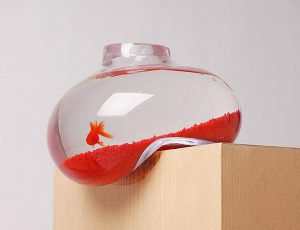 bể cá thủy sinh mini