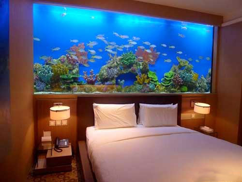 lắp bể cá trong phòng ngủ
