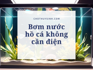 Bơm nước hồ cá không cần điện là gì?