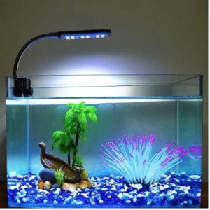 Thời gian bật đèn cho bể cá