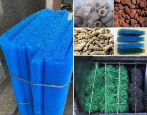 Vai trò của vật liệu lọc hồ cá koi