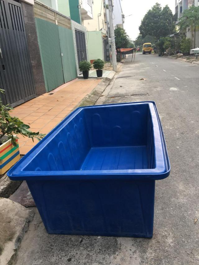Chuẩn bị thùng nhựa khi nuôi cá trê