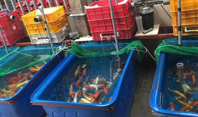 Dễ di chuyển linh hoạt thay đổi vị trí