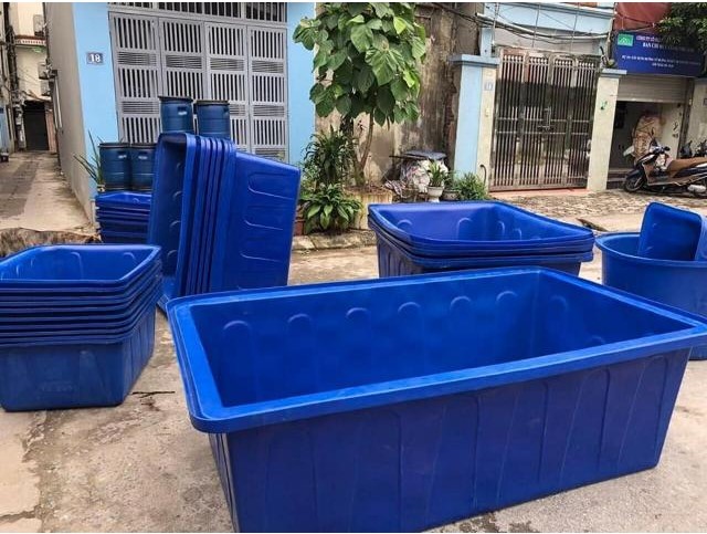 Lợi ích khi nuôi cá trê trong thùng nhựa
