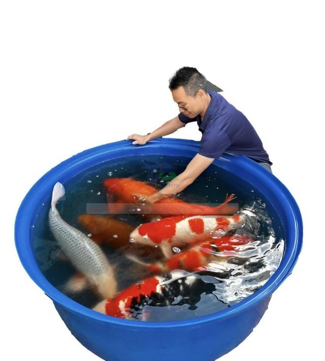 Tiết kiệm chi phí