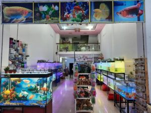 Bể cá Hoàng Gia