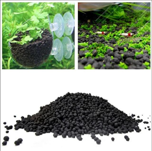 Phân nền thủy sinh