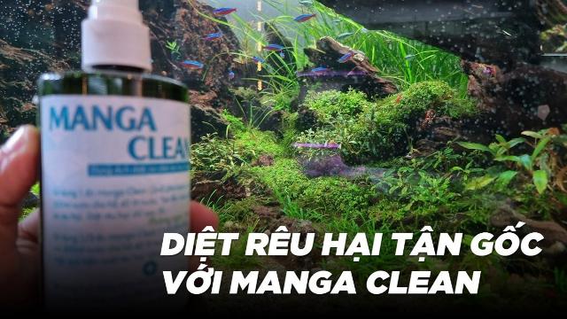 Thuốc diệt rêu hại Manga Clean