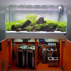 Khi nào nên vệ sinh lọc thùng