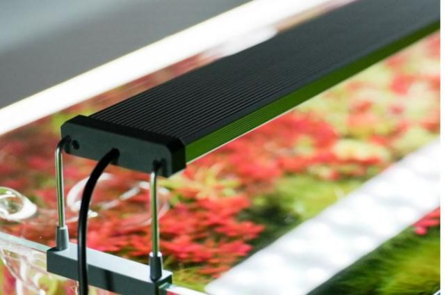 Đèn Chihiros B Series