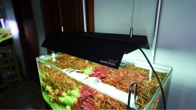 Ưu và nhược điểm đèn Chihiros