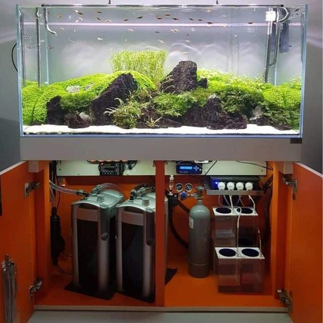 So sánh máy lọc nước tràn trên và tràn dưới hồ cá 1m2