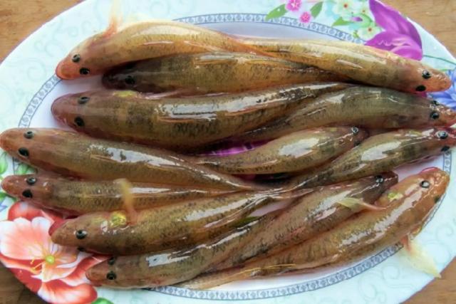 Chọn cá tươi ngon