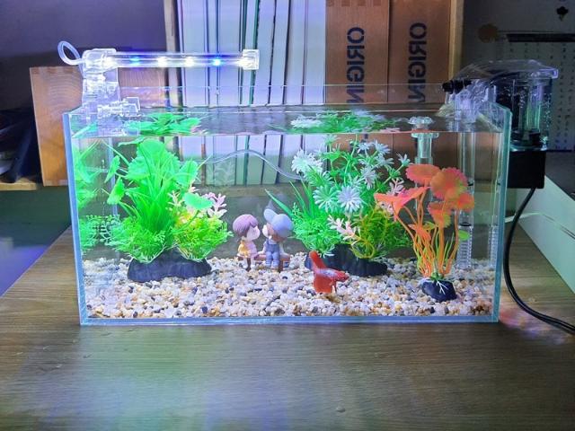 Máy lọc bể cá: Cách chọn đúng giúp nước trong, cá khỏe 7 Máy lọc bể cá mini để bàn