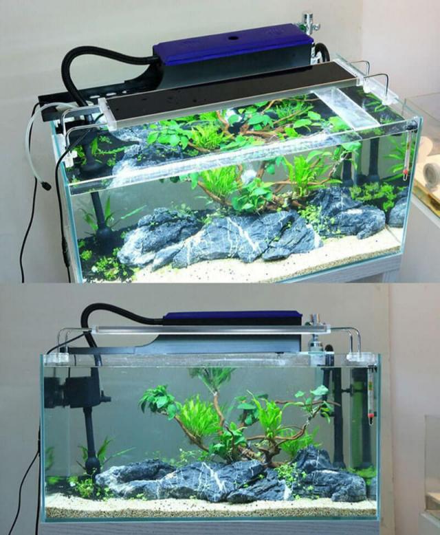 Máy lọc bể cá: Cách chọn đúng giúp nước trong, cá khỏe 1 Máy lọc nước bể cá