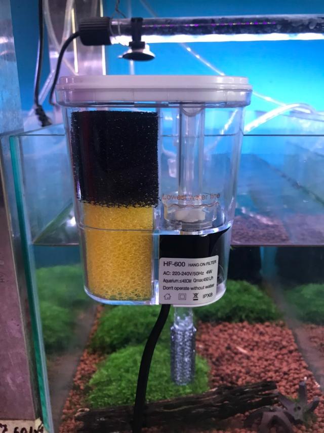 Máy lọc bể cá: Cách chọn đúng giúp nước trong, cá khỏe 6 Máy lọc thác