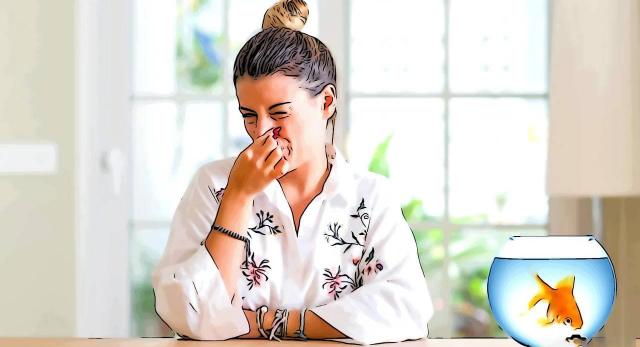 Khử mùi bể cá