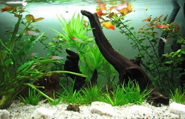 Dấu hiệu nhận biết nhiệt độ quá nóng