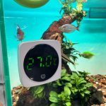 Nhiệt độ bể cá