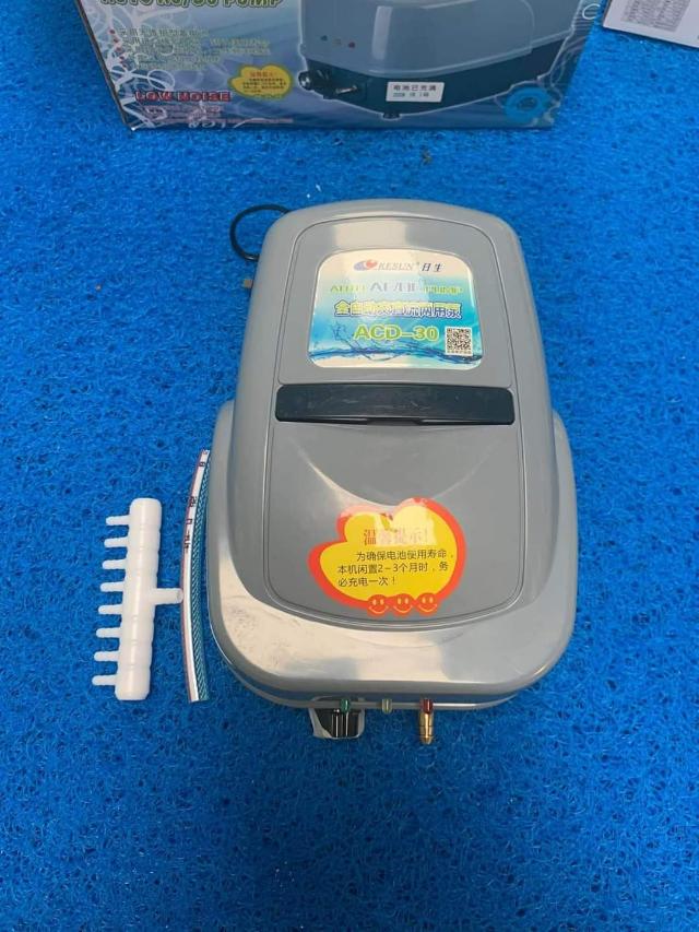 Cách chọn Máy sủi oxy cho bể cá đúng, bền 1 Máy sủi oxy cho bể cá