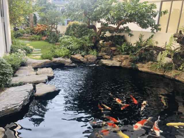 Thi Công Sân Vườn Cho Biệt Thự Trọn Gói Đẹp Chuẩn Phong Thủy Cảnh Quan 4 be ca coi trong san vuon