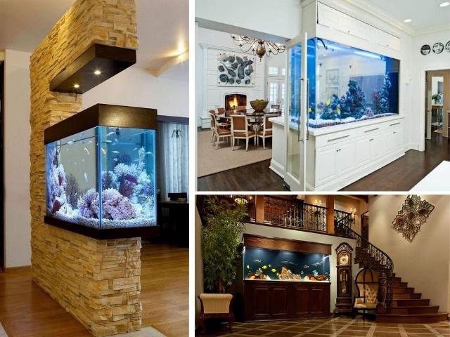 1 vài lưu ý về màu sắc của bể cá