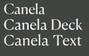 Canela images 03c 02