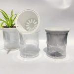 Chậu nhựa trồng cây thủy sinh