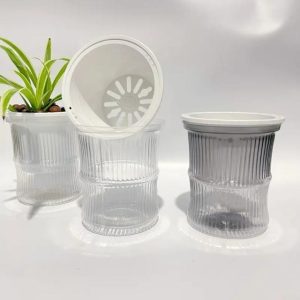 Chậu nhựa trồng cây thủy sinh