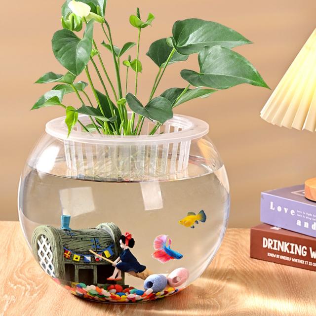 Chậu thủy tinh trồng cây thủy sinh