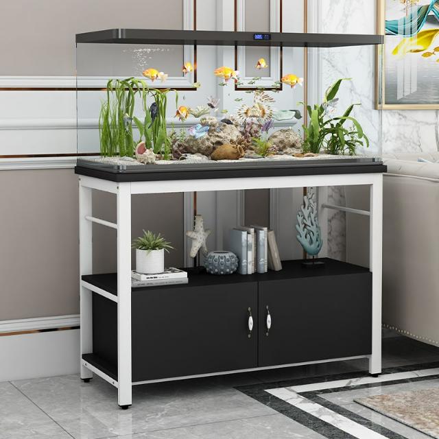 Chọn đúng kích thước bể cá