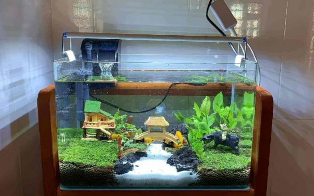 Tiểu cảnh trang trí gồm