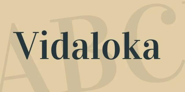 vidaloka font