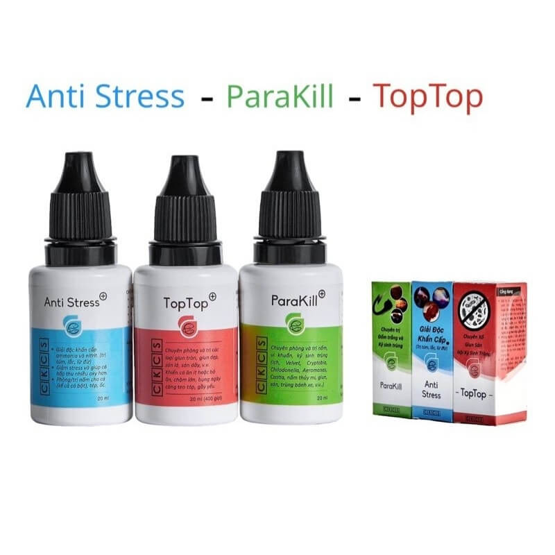 Anti Stress cho cá công dụng, liều dùng và cách xử lý 4 Bộ Anti Stress TopTop ParaKill CKCS