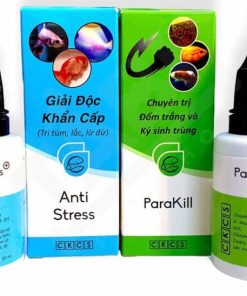 Anti Stress cho cá công dụng, liều dùng và cách xử lý 3 Bộ Anti Stress và ParaKill CKCS cho cá cảnh