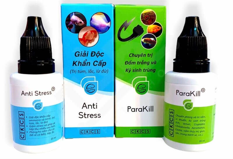 Anti Stress cho cá công dụng, liều dùng và cách xử lý 2 Bộ Anti Stress và ParaKill CKCS cho cá cảnh
