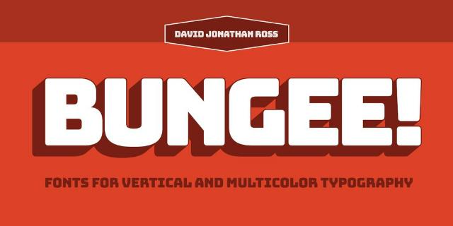 Bungee
